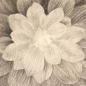 Meet your Posher, Jody